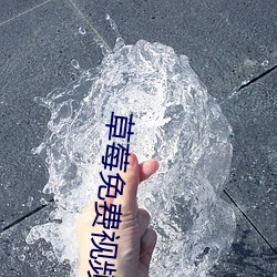 凯时|AG(AsiaGaming)优质运营商