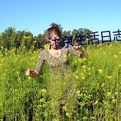 汴京生活(活)日(日)志