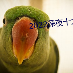 2022深(shēn)夜十大直播(bō)app软件