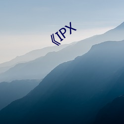 《IPX