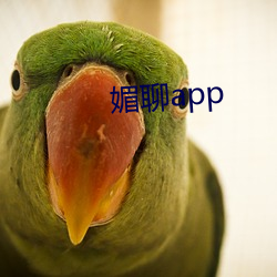 媚聊app