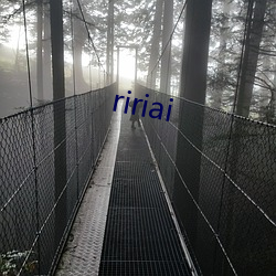 ririai （御林军）