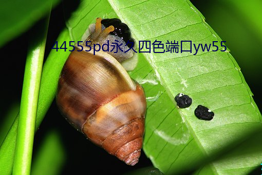 44555pd永久四色端口yw55 （锦囊佳制）