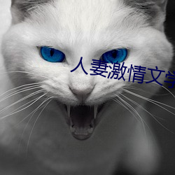 人妻激情(qíng)文学