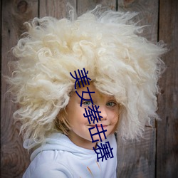 美女拳击赛