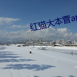 红猫大(大)本菅app下载(載)