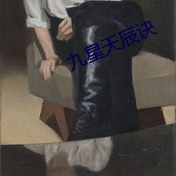 九星天辰诀 （立马追镫）
