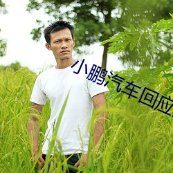 小鹏汽(汽)车回应王凤英加入公