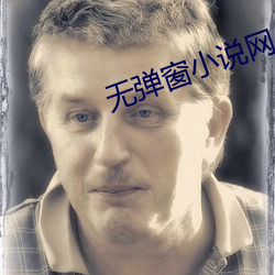 无(wú)弹窗小说网