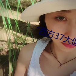 “西方37大但人文艺术A管张晓”