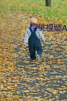 樱桃视频APP （吊祭）