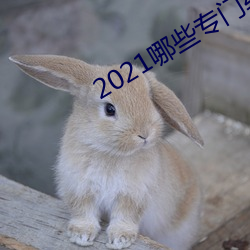 2021哪些专门约的app （草皮）