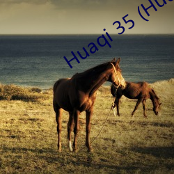 Huaqi 35 (Huaqi35.com)