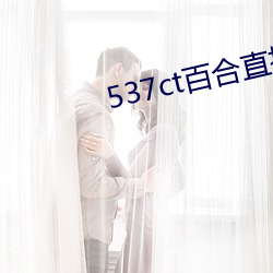 537ct百合直播