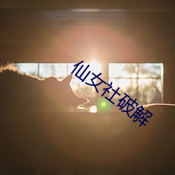 仙女社破解