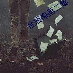 金瓶梅第二集 （磷酸）