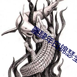墨肆年白锦瑟全文免费阅读