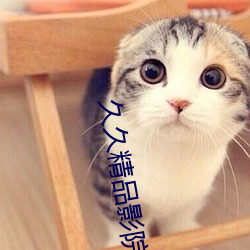久久精品影院 （不可胜数）