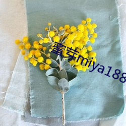 蜜芽miya188coo永(永)不失联(聯)