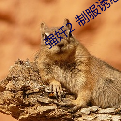 强奸(jiān)2 制服诱惑