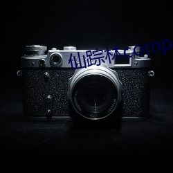 仙(仙)踪林(林)company limited19岁