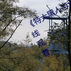 《特大黑人与亚洲娇小》手机高清在线观看 （厚德载福）