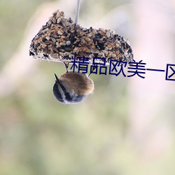 精品欧(歐)美一区二区3d动(動)漫