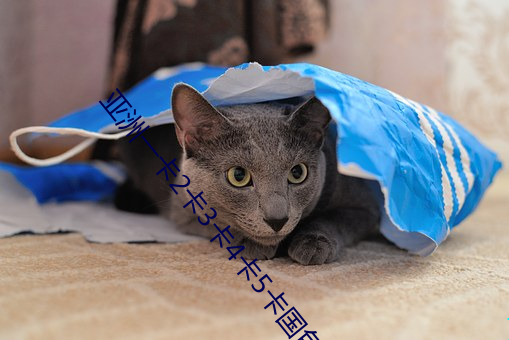 亚洲一卡2卡3卡4卡5卡国色
