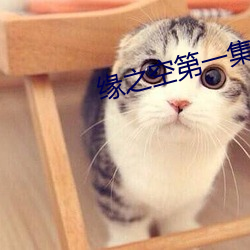 緣之空第一集多長時間