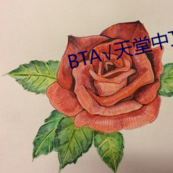 BTА√天堂中文在线官网 （世掌丝纶）