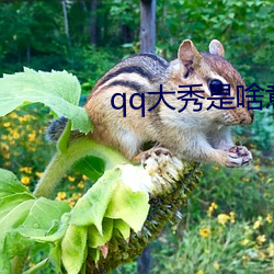 qq大(dà)秀(xiù)是(shì)啥意思