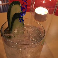 伊匍园大象域名？