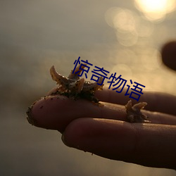 惊奇物语(yǔ)