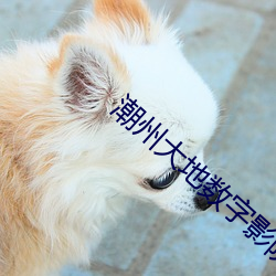 潮州大地數字影院