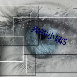 我的小姨5