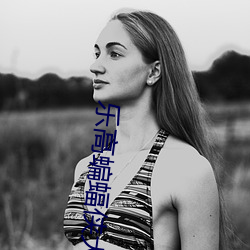 乐高蝙蝠侠大电影系列(liè)视频