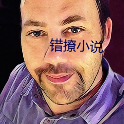 錯撩小說