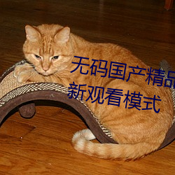 無碼國産精品一區二區免費16全新觀看模式