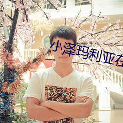 小泽玛利亚在线观看 （感奋）
