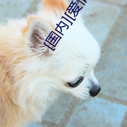 [國內][愛情][金瓶梅1