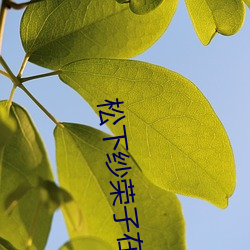 松(sōng)下(xià)纱荣子在线电影美(měi)容院v1.0.12