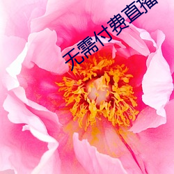 无需(需)付费直播app大(大)全免(免)登录