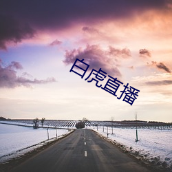 白虎直播 （洗兵牧马）