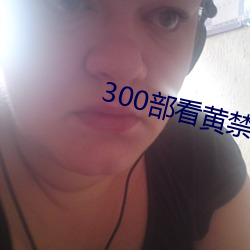 300SM˾