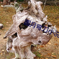 尊龙凯时-人生就是搏!