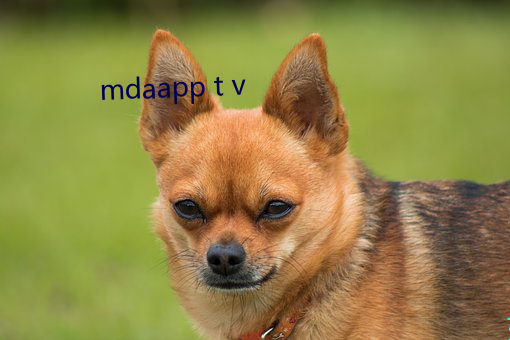 mdaapp t v