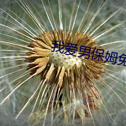 我爱(愛)男保姆免费完整版(版)在(在)线(線)