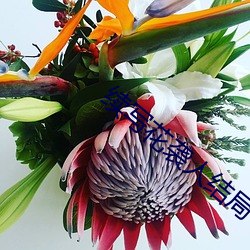 续写花袭人结局