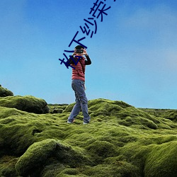 松下纱(shā)荣子最经典的一(yī)部