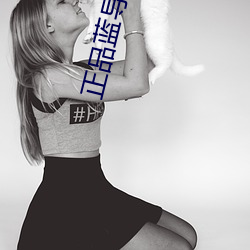 正品(pǐn)蓝导(dǎo)航收录(lù)全面3.0